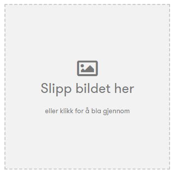bilde.png